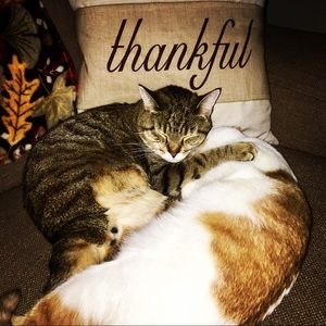 Meet your Posher, Ashlee